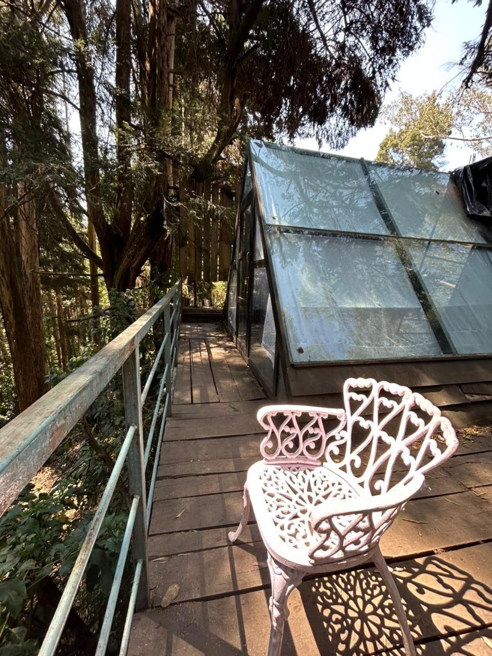 Woodhouse Hotel Ooty Exterior foto